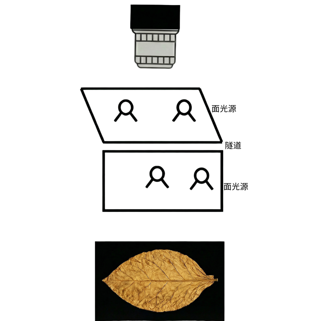 微信公众号图片