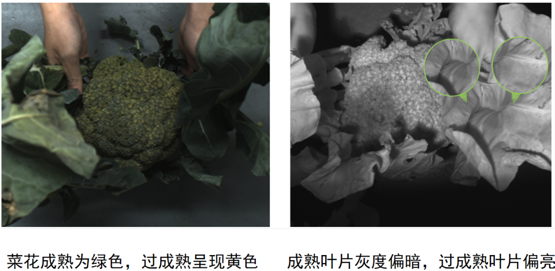 微信公众号图片